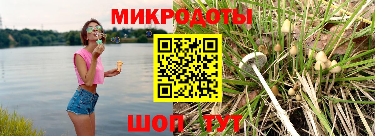 Галлюциногенные грибы Magic Shrooms  Вход с VPN  Галлюциногенные грибы мухоморы  Жуковский 